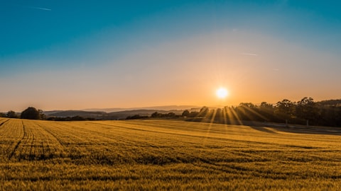 Maquinário Agrícola — Consórcio Ademicon